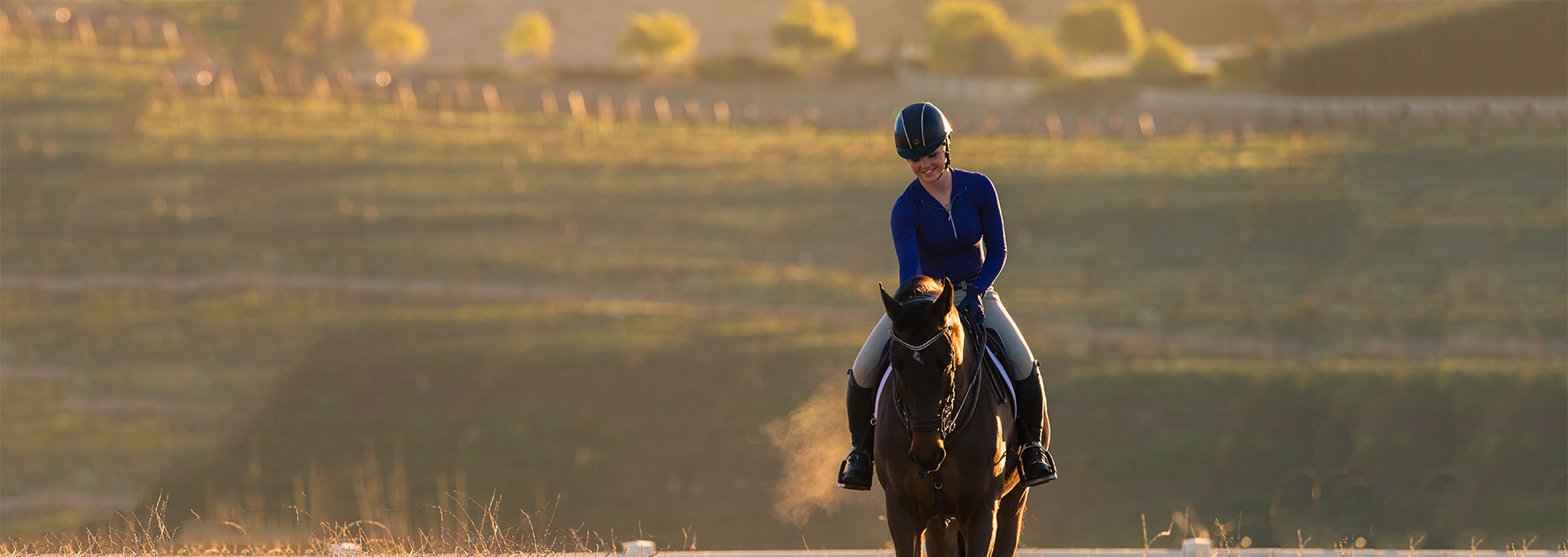 Horse Calming Supplements Equine Calming Supplement