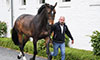Behind the Scenes, Castle Hill Farm Groom Plays Key Role
