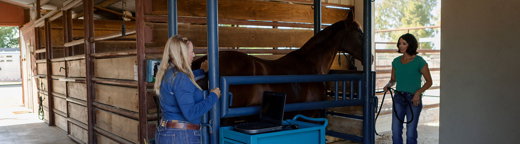 Platinum advisor with her horse