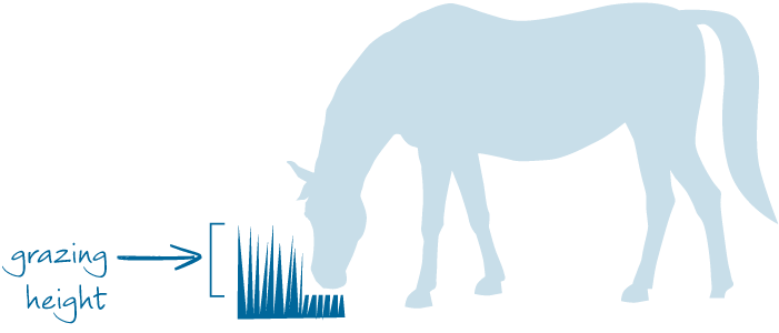 pasture step 2