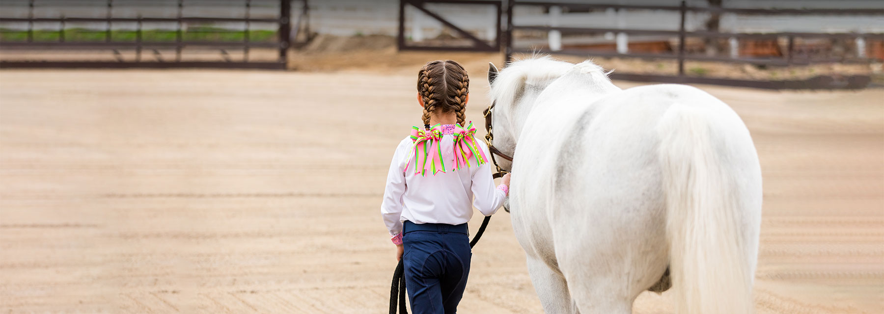 colitis in horses