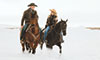 horse care in winter
