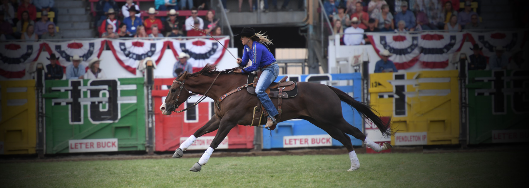 Jessie Telford Platinum Performance