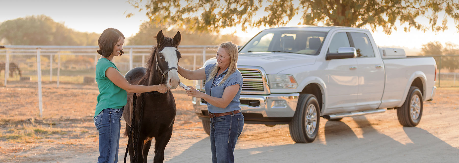Horse Diarrhea Equine Diarrhea Supplements