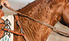 summer safety for horses