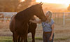 equine reproductive health