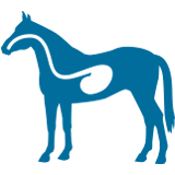 horse trailer icon