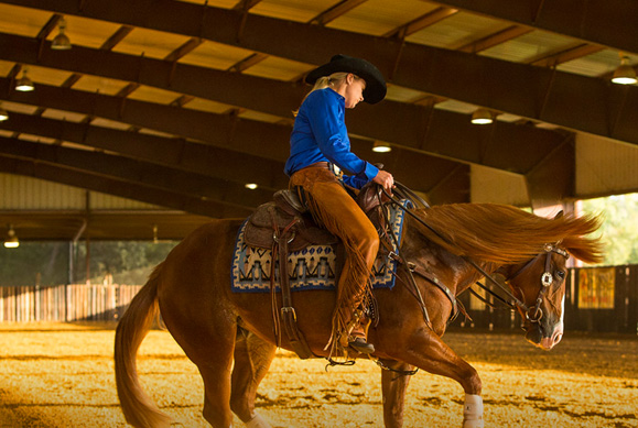riding horse in barn