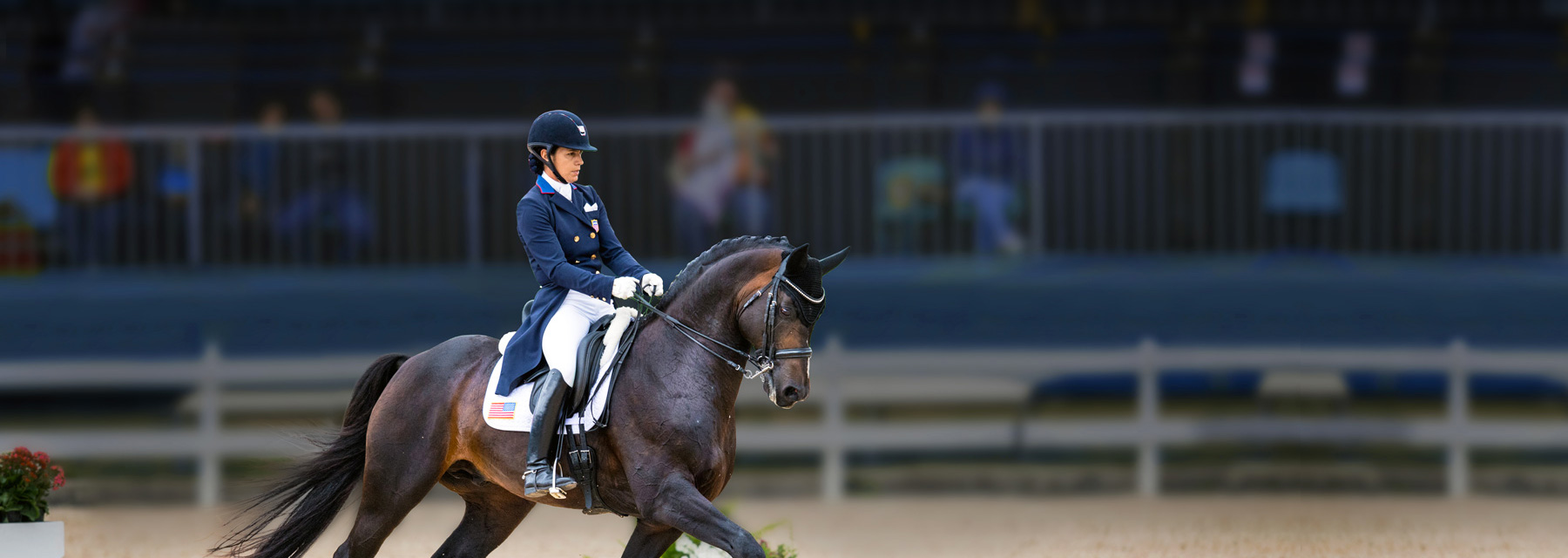 Allison Brock Dressage