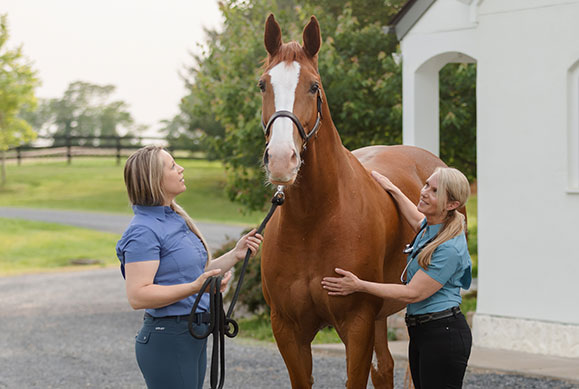 understanding ulcer