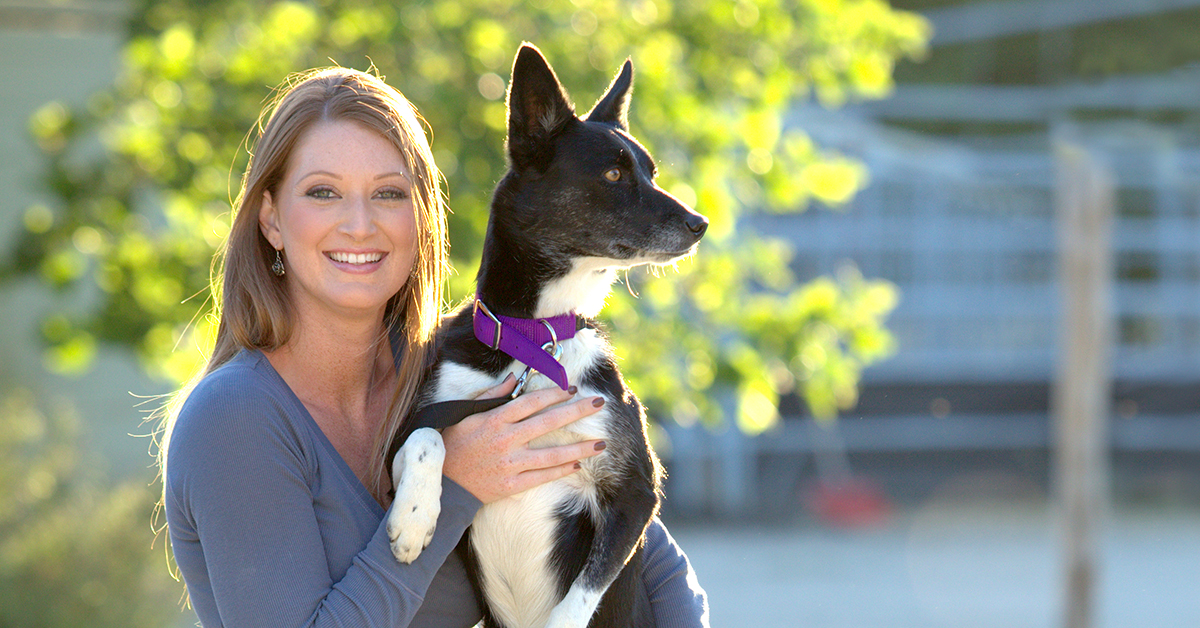 Product Finder for Platinum Supplements for Dogs