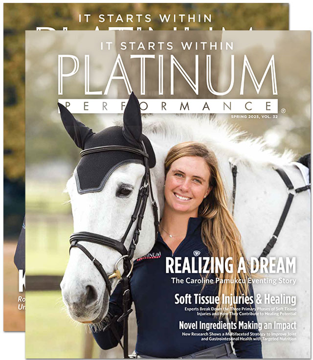 Platinum Magazines