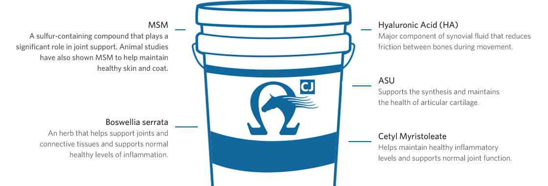 Platinum Performance CJ Bucket, MSM, Boswellia serrata, Hyaluronic Acid (HA), ASU, Cetyl-Myristoleate