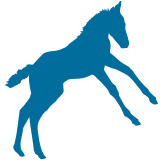 foal care icon