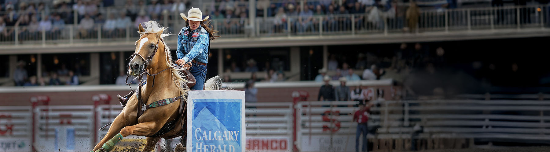Platinum advisor with her horse