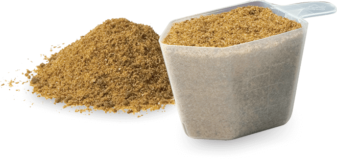scoop of Platinum Performance formula