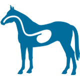 gastric support