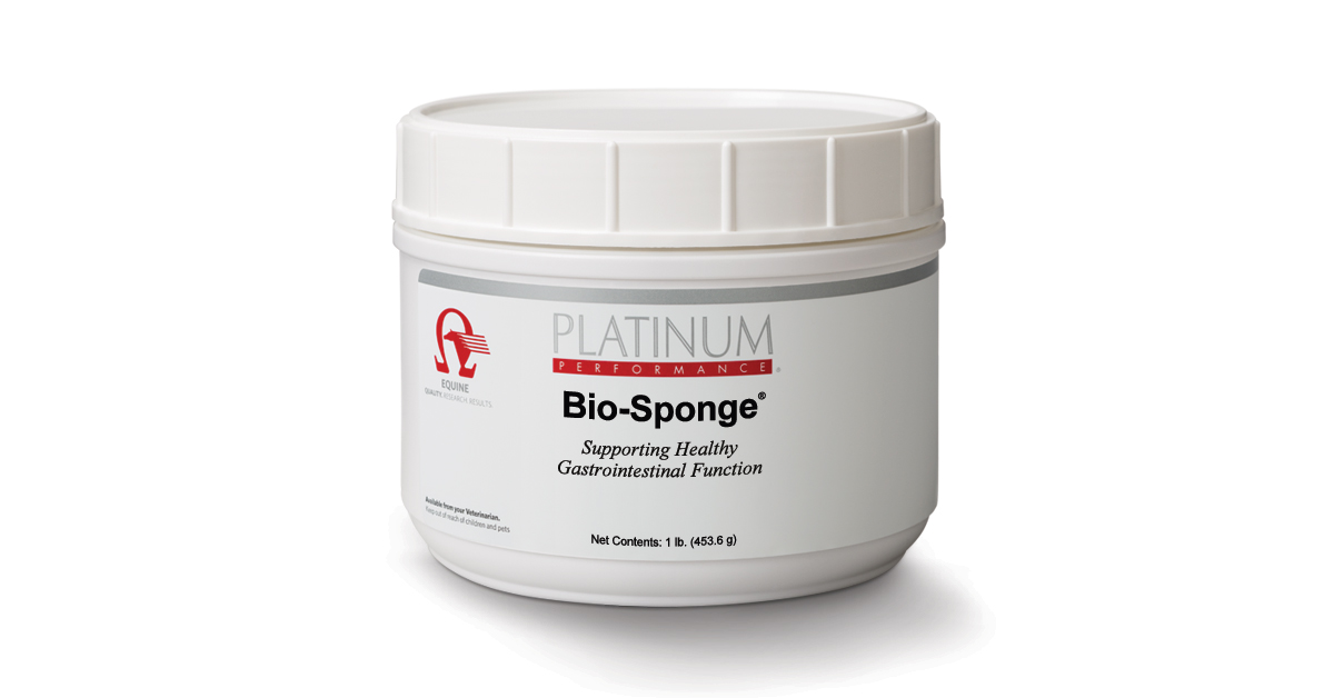 BioSponge for Horses Horse Digestive Supplement Equine Support